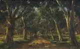 Tinus de Jongh, An Avenue of Trees