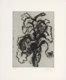 William Kentridge, An Iris