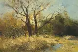 Errol Boyley, A Bushveld Landscape with Trees alongside a River
