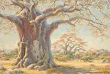 Erich Mayer, The Old Baobab Tree, oil on paper laid down on board