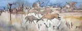 Gordon Vorster, Antelopes Fighting