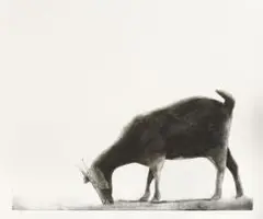 Sam Nhlengethwa, Grazing I; Grazing II; Grazing III; Grounded and Loneliness II, soft-ground etchings