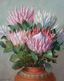 Willem Hermanus Coetzer, Proteas in an Earthenware Vase