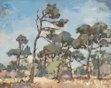 Firs, Cape by Gregoire Boonzaier, oil on canvas, sold Nov 2010