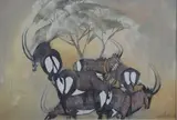 Gordon Vorster, Sable Antelope