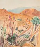 Edith King, Flowering Aloes in Winter Veld, watercolour over charcoal