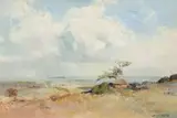 Errol Boyley, Afternoon Donnybrook
