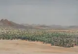 Adolph Jentsch, Schafluss: Oktober, S.W.Afrika