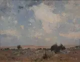 Errol Boyley, Extensive Landscape with Veld Flowers