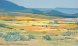 Piet van Heerden, An Extensive Namaqualand Landscape