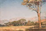 Frans Oerder, Cape Landscape with stone pines