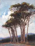 Nita Spilhaus, A Cape View with Stone Pines, oil on paper