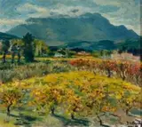 Piet van Heerden, Farm at Simondium
