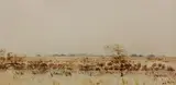 Landscape, Namibia by Adolph Jentsch, 1958, watercolour, sold Oct 2009