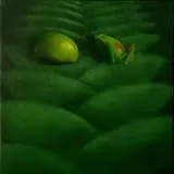 Michael Pettit, Mango/Frog II