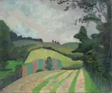 Ruth Everard Haden, Field Patterns