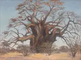 Erich Mayer, Baobab Tree