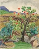 Edith King, Wild Bottlebrush I, pencil and watercolour
