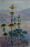 Edith King, Leonotis Leonorus, pencil and watercolour