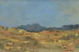 Hugo Naude, Flowering Namaqualand