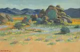David Botha, Namaqualand Landscape