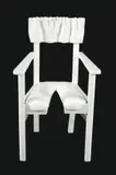 Peter Schütz, Chair