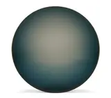 Fred Eversley, Acrylic Disc, Cast Polyester