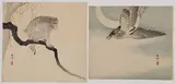 Ohara Koson, Monkey on Tree Branch and Night Flight, Colored woodblock on paper