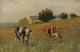 Thomas Corwin Lindsay, Grazing Cattle, Oil on canvas