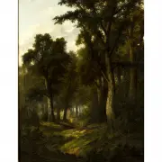 Ada Stone, Forest Landscape, oil on canvas
