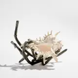 Marc Du Plantier, Sculpture, 1960s, Patinated bronze, Murex shell