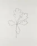 Oak I, from Series of Oak Leaves by Ellsworth Kelly, 1992, Lithograph, on Rives BFK paper, with full margins, sold Apr 2019