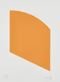 Orange, from Artists Coming Together to Benefit Democratic Presidential Candidates by Ellsworth Kelly, 2004, Lithograph in orange, on Rives BFK paper, with full margins, sold Apr 2019
