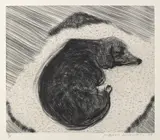 David Hockney, Dog Wall No.3, from Dog Wall, 1998, Etching, on Somerset paper, with full margins