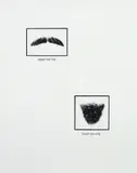 Lorna Simpson, Untitled, from Portraits