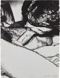 Fellatio by Andy Warhol, 1978, Screenprint, on HMP paper, the full sheet, sold Oct 2019