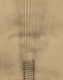 Tina Modotti, Telephone Wires, Mexico, 1925, Palladium print