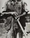 Hoe Culture, Alabama Tenant Farmer Near Anniston by Dorothea Lange, 1936, Gelatin silver print, sold Apr 2019