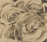Tina Modotti, Roses, Mexico, 1924, Platinum or palladium print