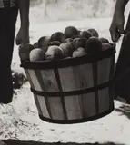 Utah Harvest by Dorothea Lange, 1953, Gelatin silver print, sold Apr 2019