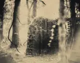 Untitled from Deep South by Sally Mann, 1998, Gelatin silver print, toned with tea, sold Apr 2019