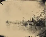 Untitled from Deep South by Sally Mann, 1998, Gelatin silver print, toned with tea, sold Apr 2019