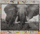Peter Beard, Large tusker (c. 150 lbs per side), Tsavo North, near hunting block 33/ Ithumber Hill on the Athi-Tiva dry river, February, 1965, Gelatin silver print with watercolor paint and ink, executed later