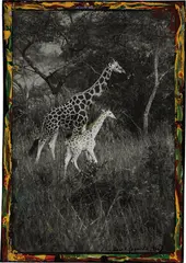 Peter Beard, Uganda, 1966, Gelatin silver print with ink and paint, executed 2006