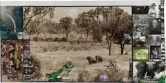 Peter Beard, Tsavo East (early '60's), (as Brör Blixen knew it in the '20's + '30's), West of Daka Dima/ near the Tiva for The End of the Game/ Last Word from Paradise, 1960, Toned gelatin silver print with applied ink, paint and blood with affixed stamp, gelatin silver and chromogenic prints, executed later