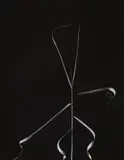 Aix-en-Provence, France by Harry Callahan, 1958, Gelatin silver print, mounted on Brudno board, sold Apr 2019