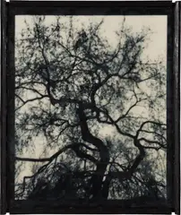 Blot Out The Sun #2 by Doug Starn and Mike Starn, 1999-2000, Lysonic inkjet print on thai mulberry and tissue papers with wax and encaustic, sold Apr 2019