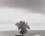 Robert Adams, Pawnee National Grassland, Colorado