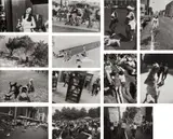 Garry Winogrand, Women are Beautiful, New York: RFG Publishing, Inc., 1981. Eighty-five gelatin silver prints