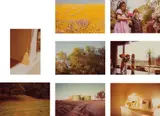 William Eggleston, Morals of Vision